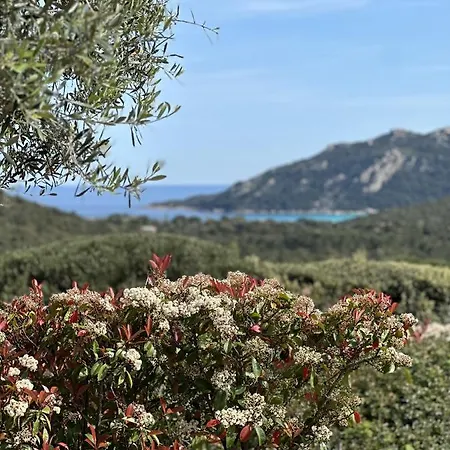 Jolie Bergerie Avec Piscine Chauffee A 1 Km De Santa Giulia * Porto-Vecchio (Corsica)